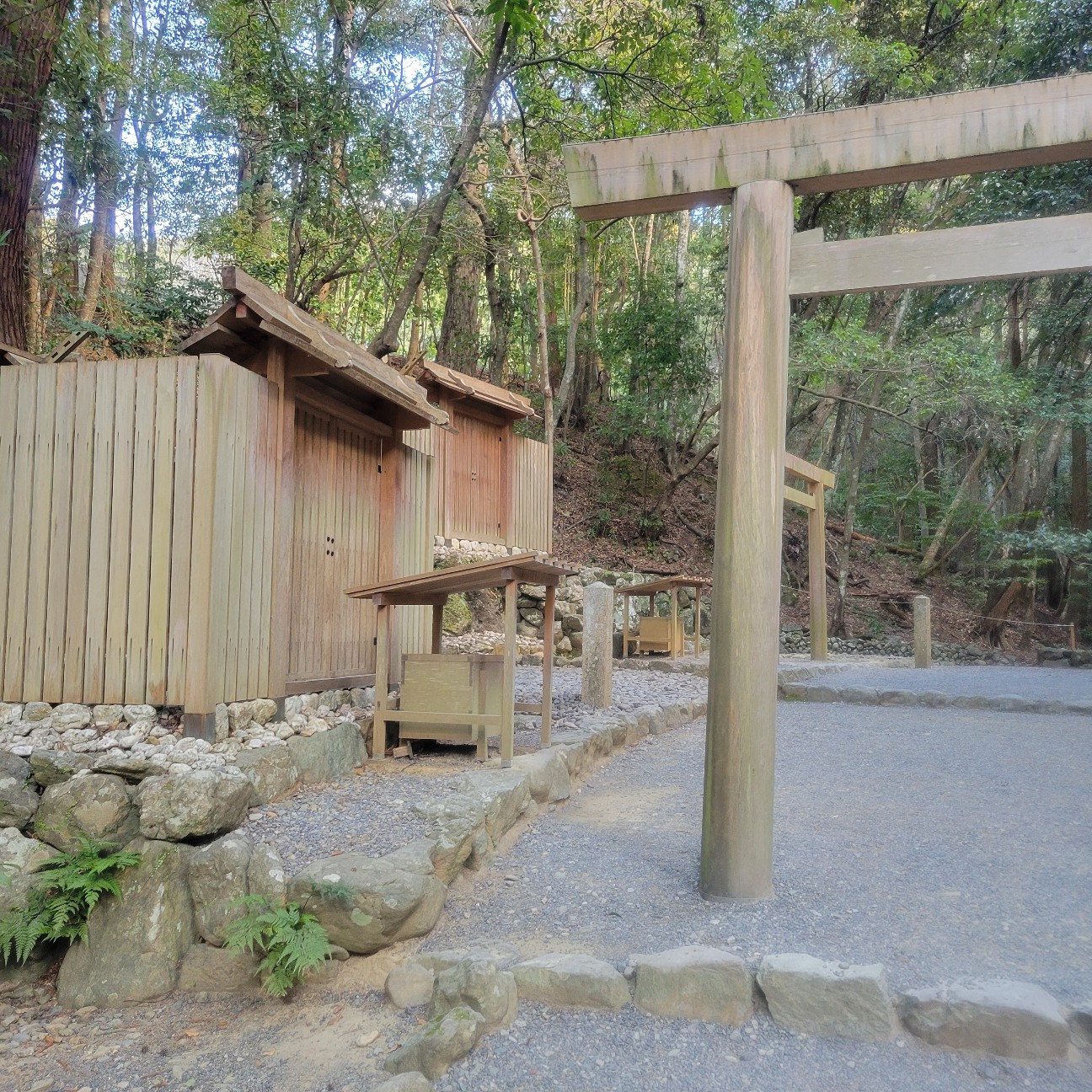 f:id:atoriatoriatori:20260202130625j:image f:id:atoriatoriatori:20260202130625j:image