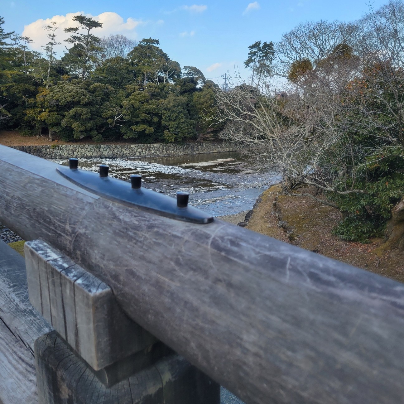 f:id:atoriatoriatori:20260202131716j:image f:id:atoriatoriatori:20260202131716j:image