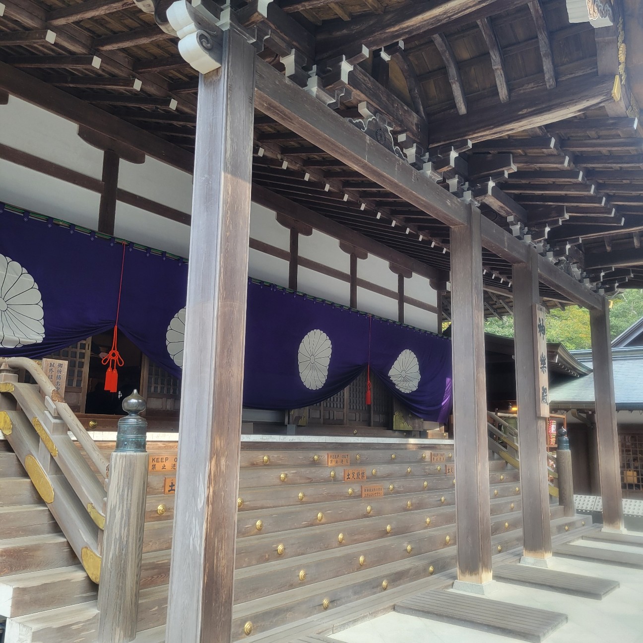 f:id:atoriatoriatori:20260202141629j:image f:id:atoriatoriatori:20260202141629j:image
