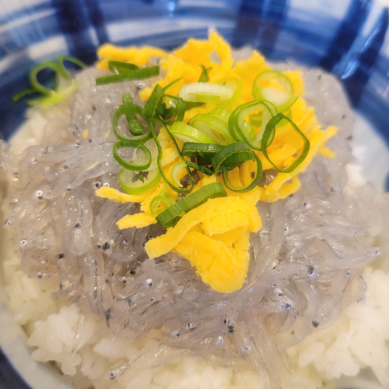 f:id:atoriatoriatori:20260204090619j:image f:id:atoriatoriatori:20260204090619j:image