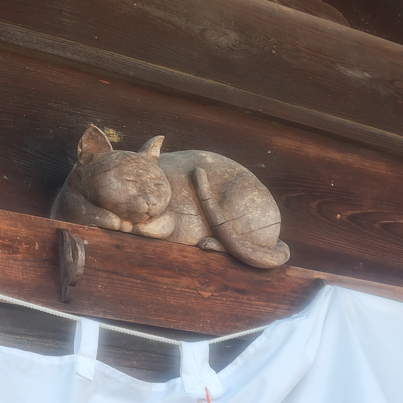 f:id:atoriatoriatori:20260204093616j:image f:id:atoriatoriatori:20260204093616j:image