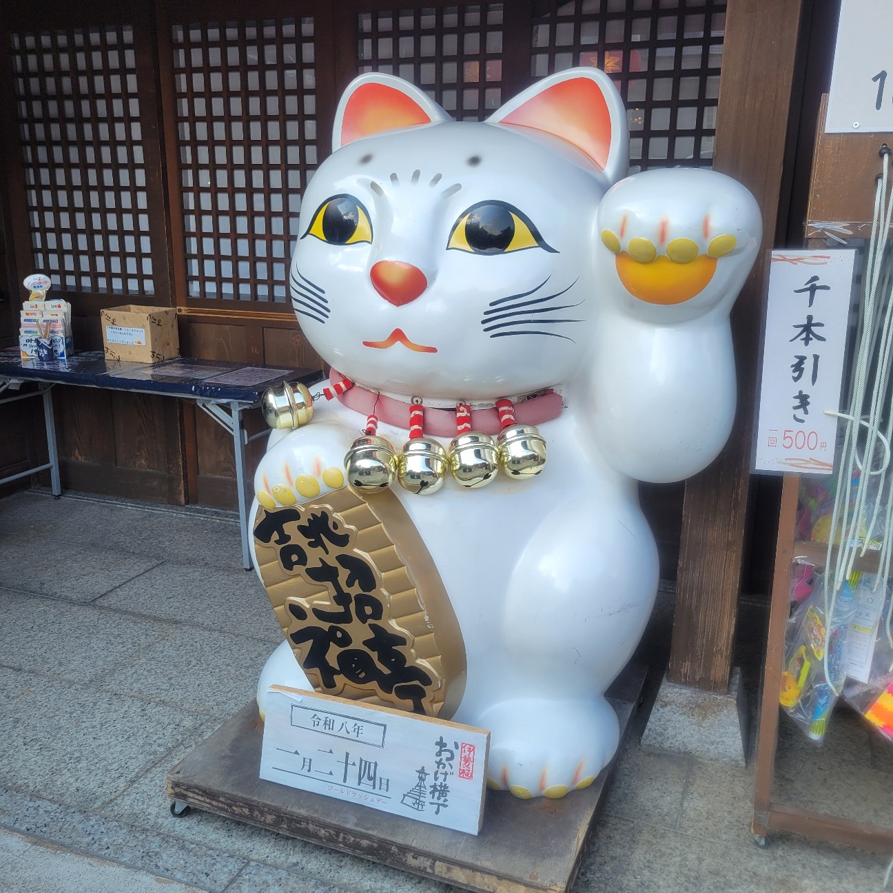 f:id:atoriatoriatori:20260204093708j:image f:id:atoriatoriatori:20260204093708j:image