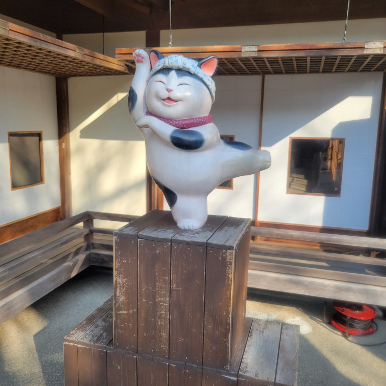 f:id:atoriatoriatori:20260204093709j:image f:id:atoriatoriatori:20260204093709j:image