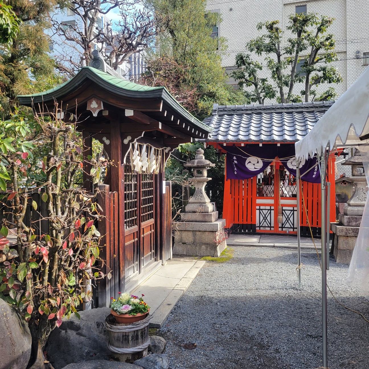 f:id:atoriatoriatori:20260205110509j:image