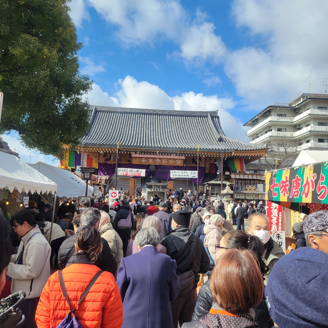 f:id:atoriatoriatori:20260205140550j:image