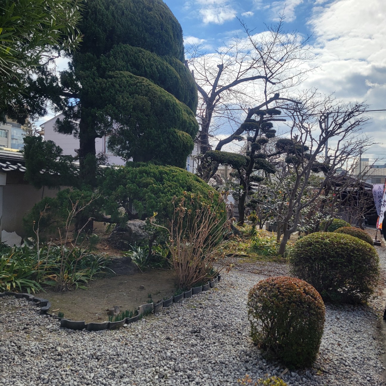 f:id:atoriatoriatori:20260206085157j:image