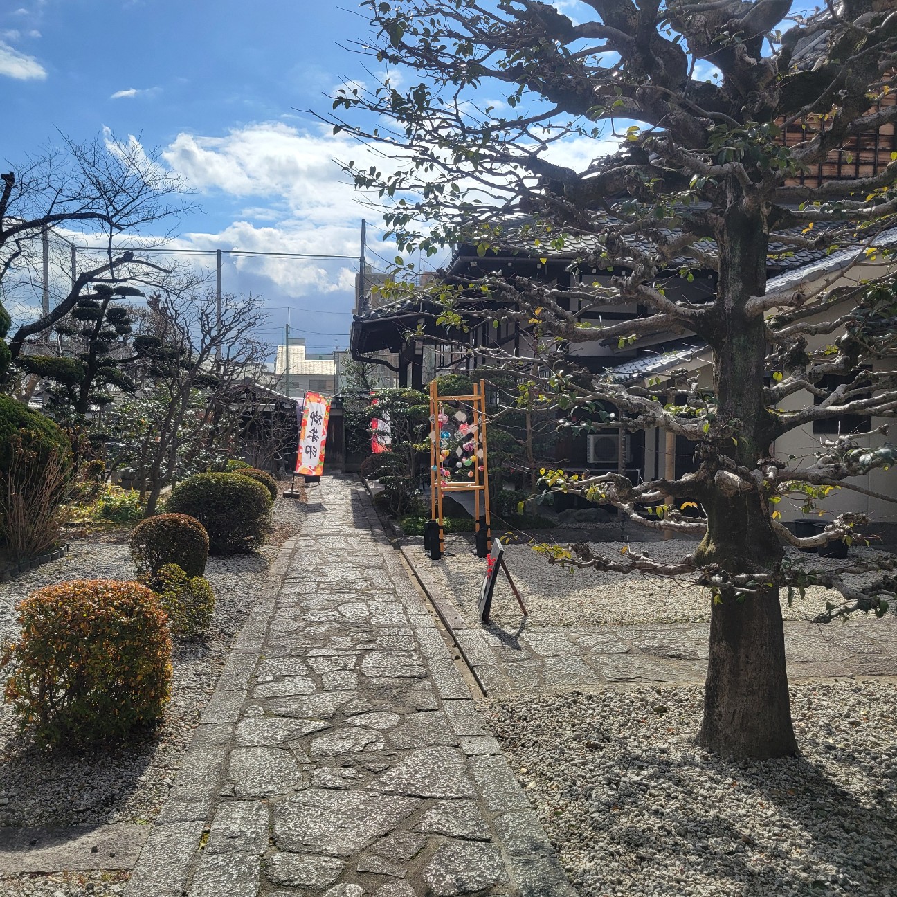 f:id:atoriatoriatori:20260206085420j:image