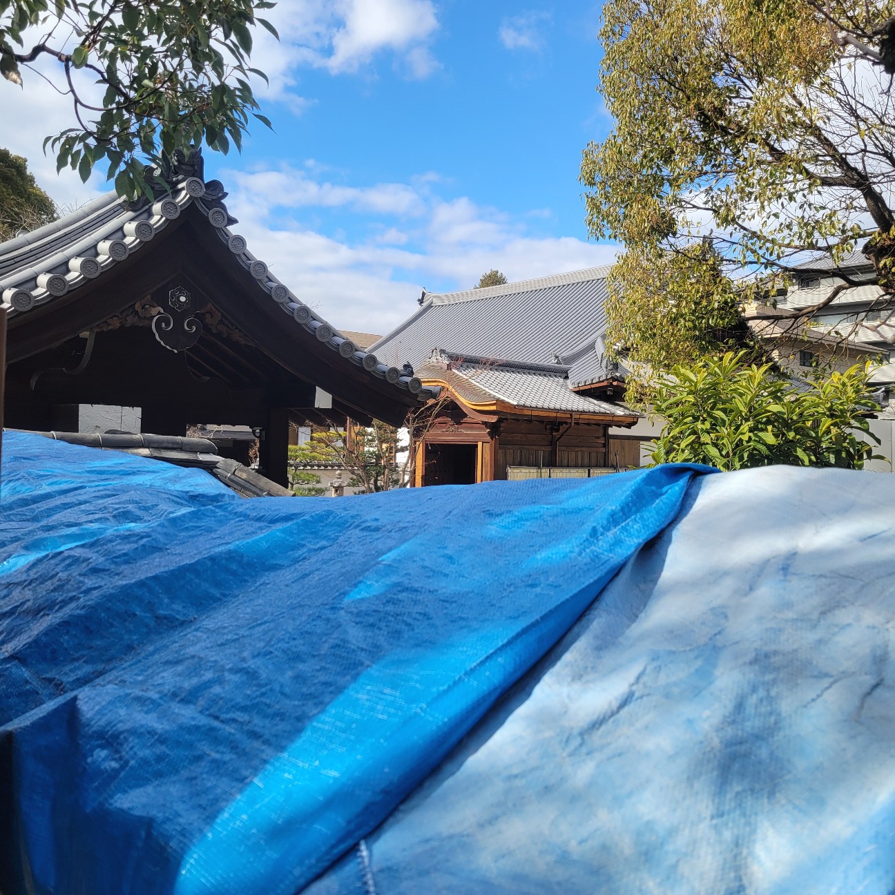 f:id:atoriatoriatori:20260207113657j:image