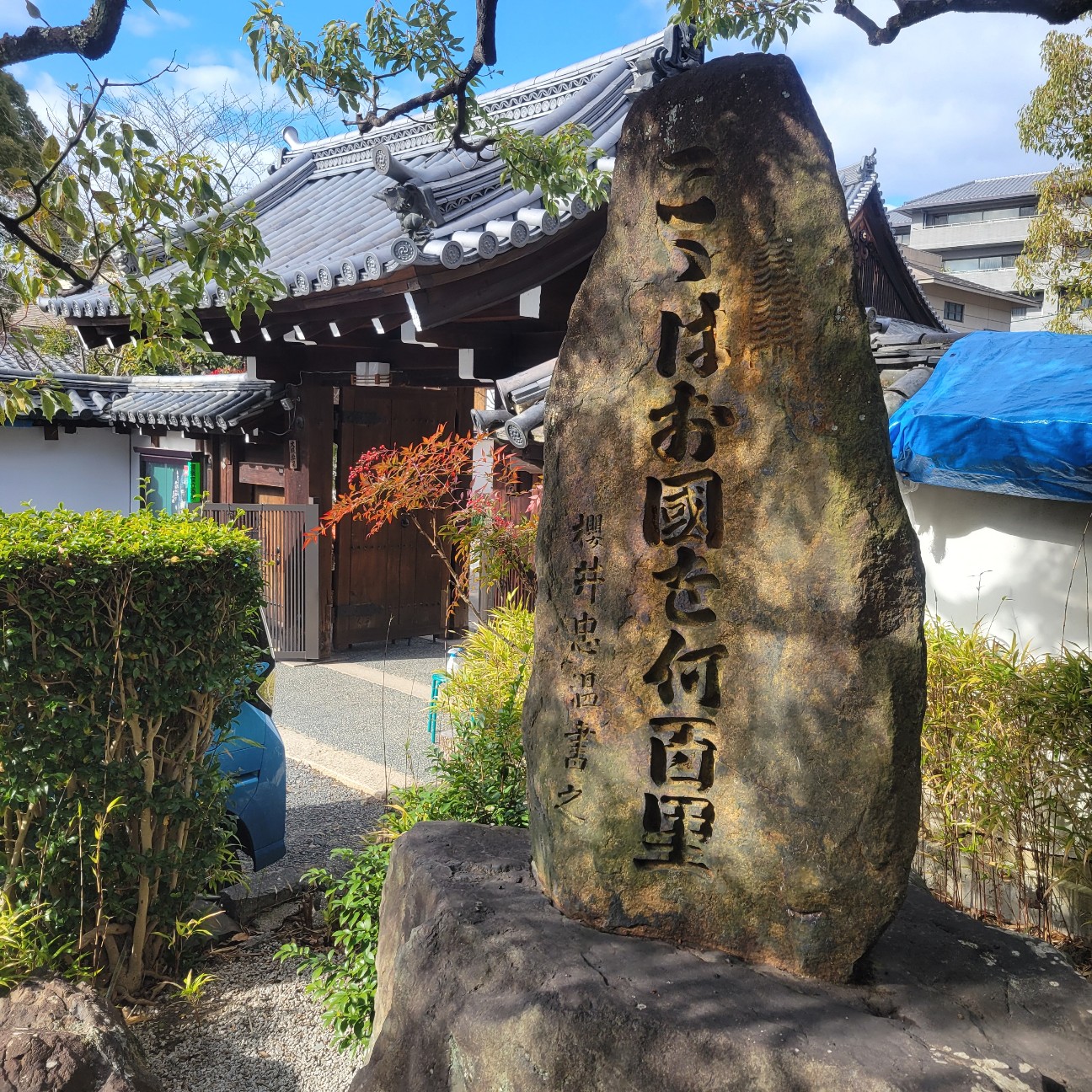 f:id:atoriatoriatori:20260207113937j:image