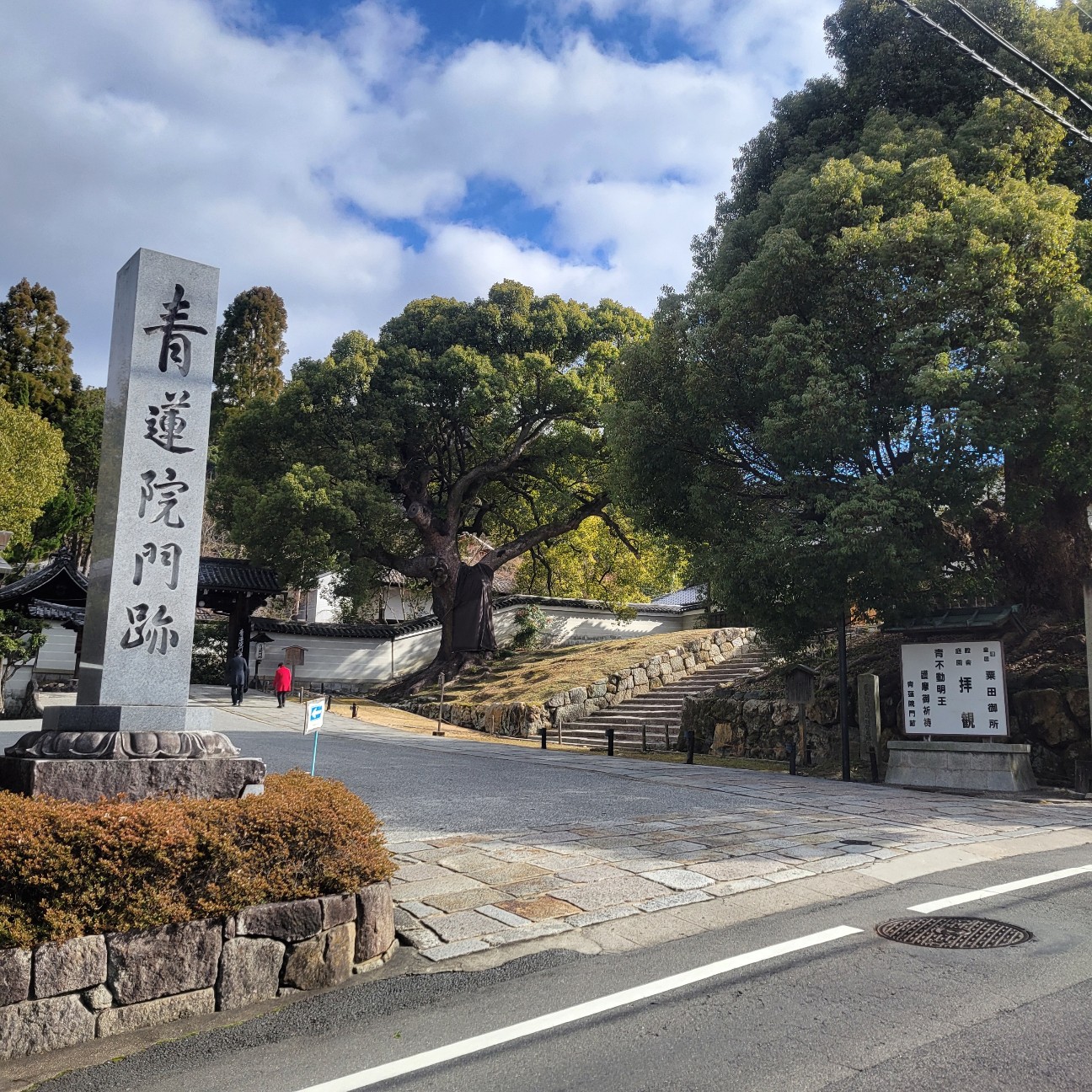 f:id:atoriatoriatori:20260207114330j:image