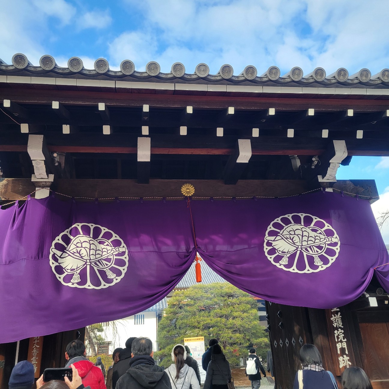 f:id:atoriatoriatori:20260209102421j:image