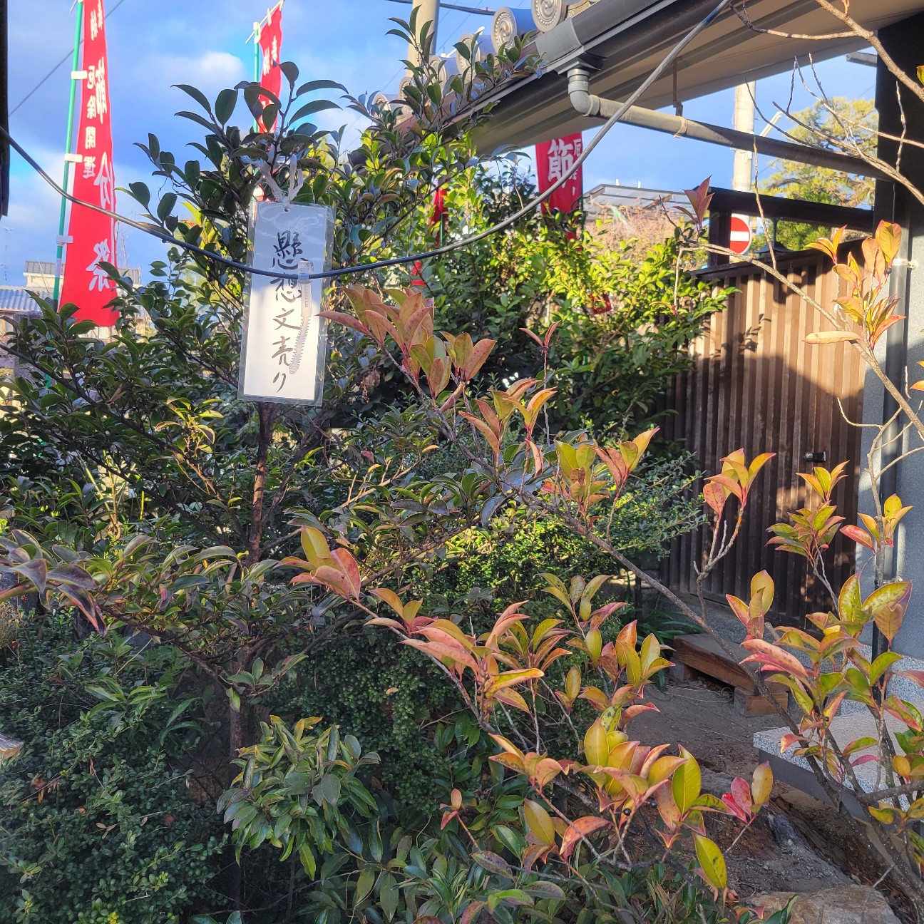 f:id:atoriatoriatori:20260210094733j:image