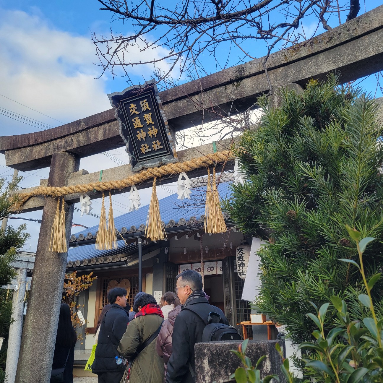 f:id:atoriatoriatori:20260210104406j:image