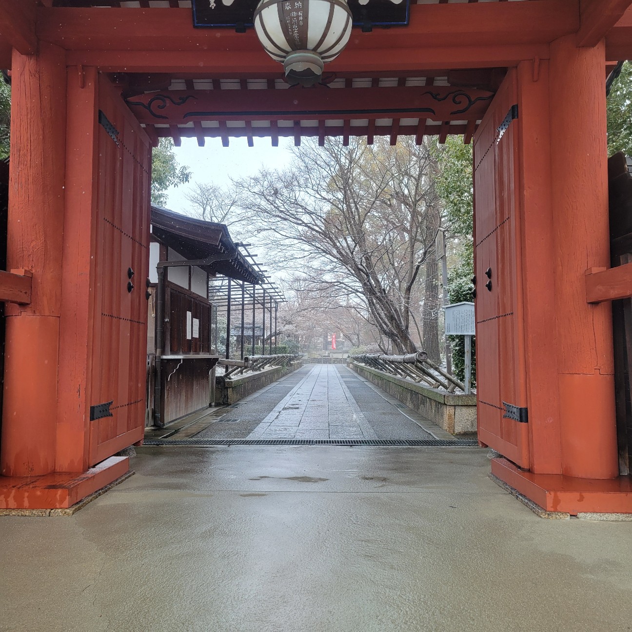 f:id:atoriatoriatori:20260210194825j:image