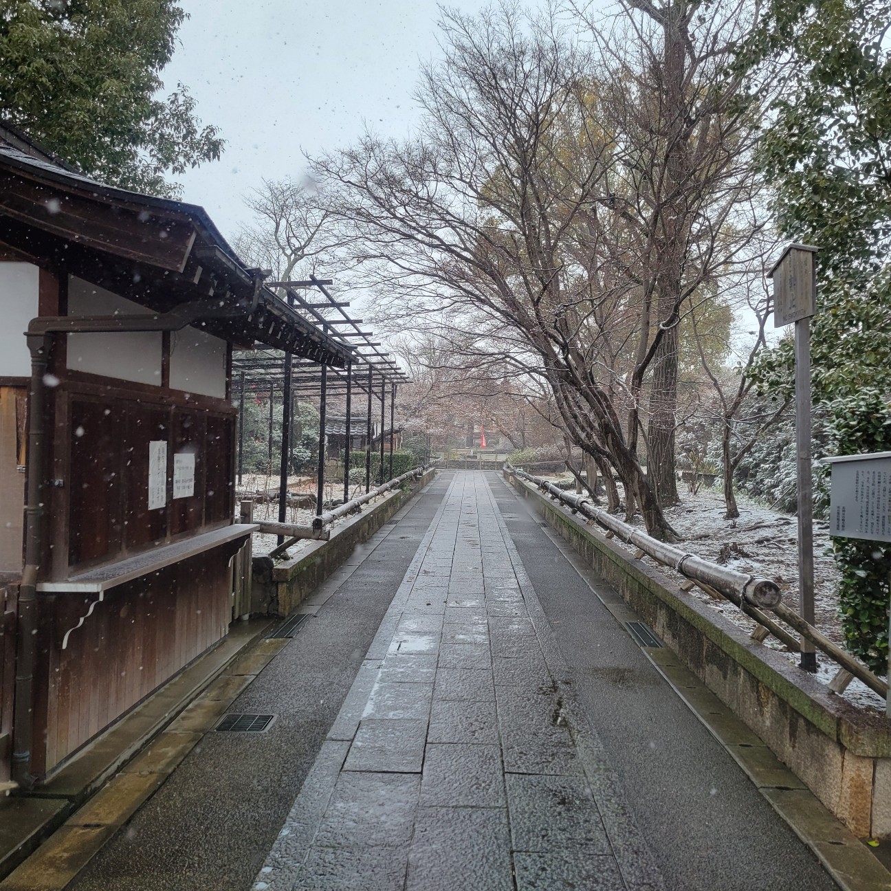f:id:atoriatoriatori:20260210195105j:image