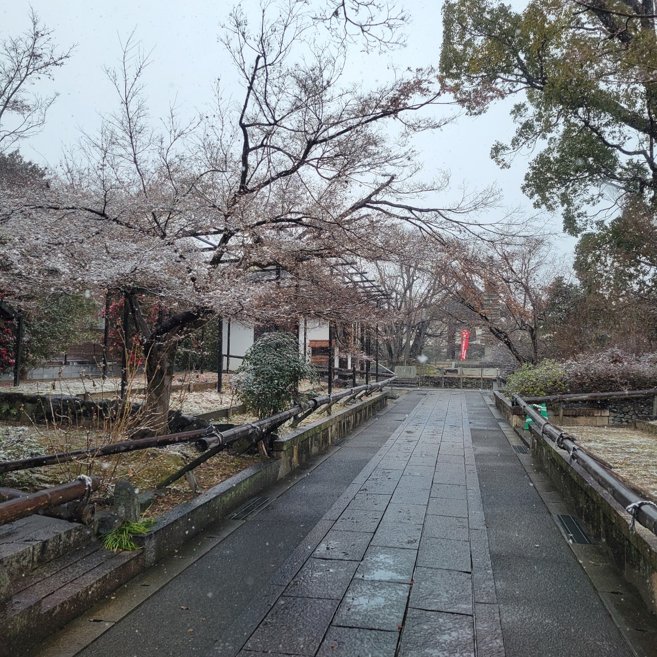 f:id:atoriatoriatori:20260210195106j:image