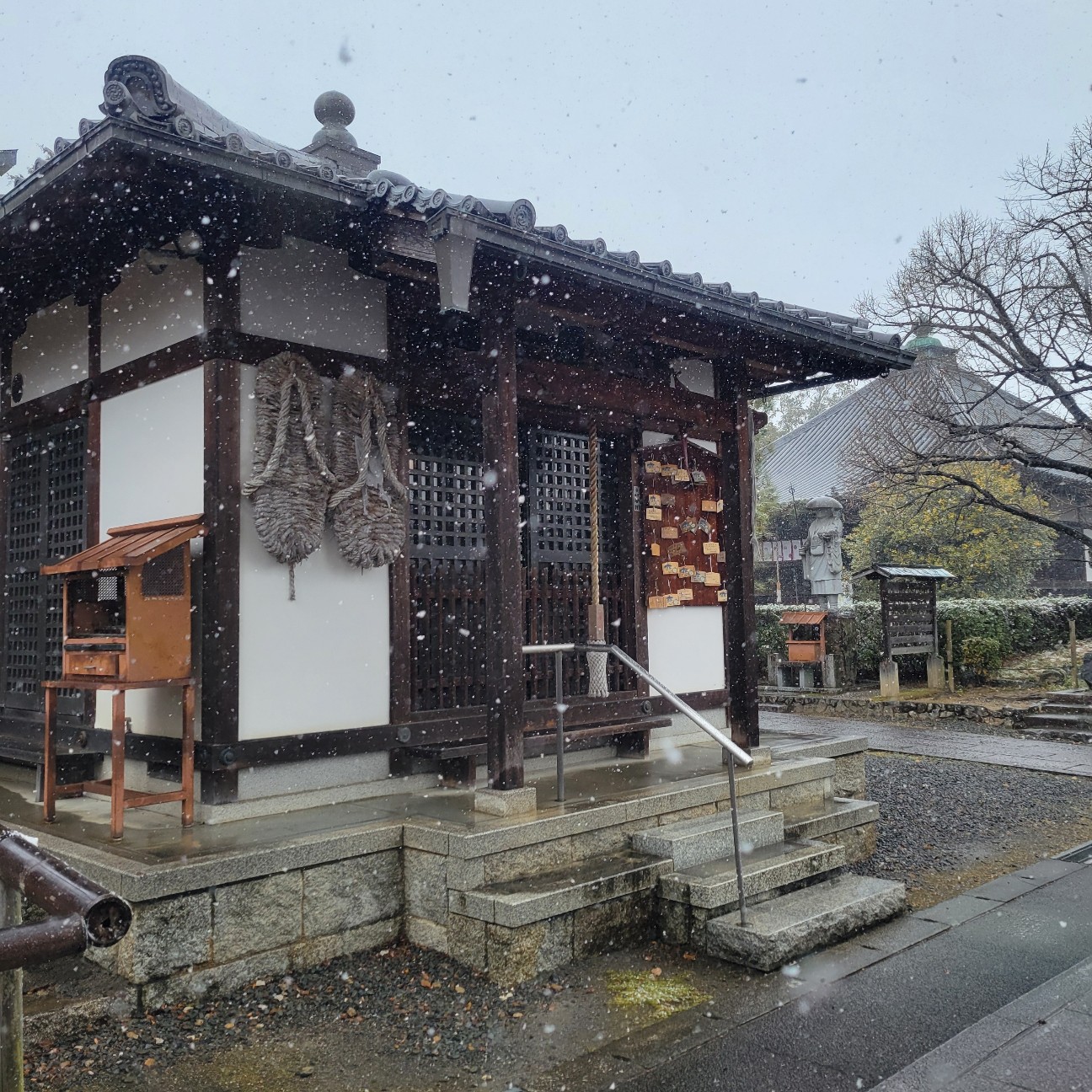 f:id:atoriatoriatori:20260210195109j:image