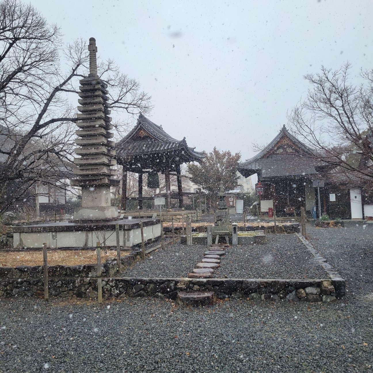 f:id:atoriatoriatori:20260210195110j:image