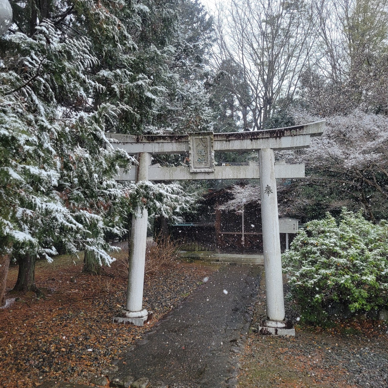 f:id:atoriatoriatori:20260210201749j:image