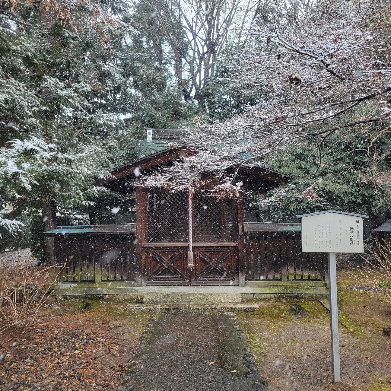 f:id:atoriatoriatori:20260210201932j:image