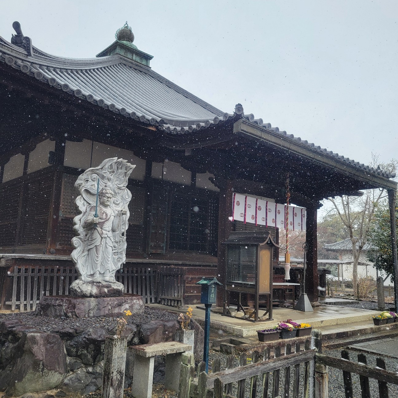 f:id:atoriatoriatori:20260210202117j:image