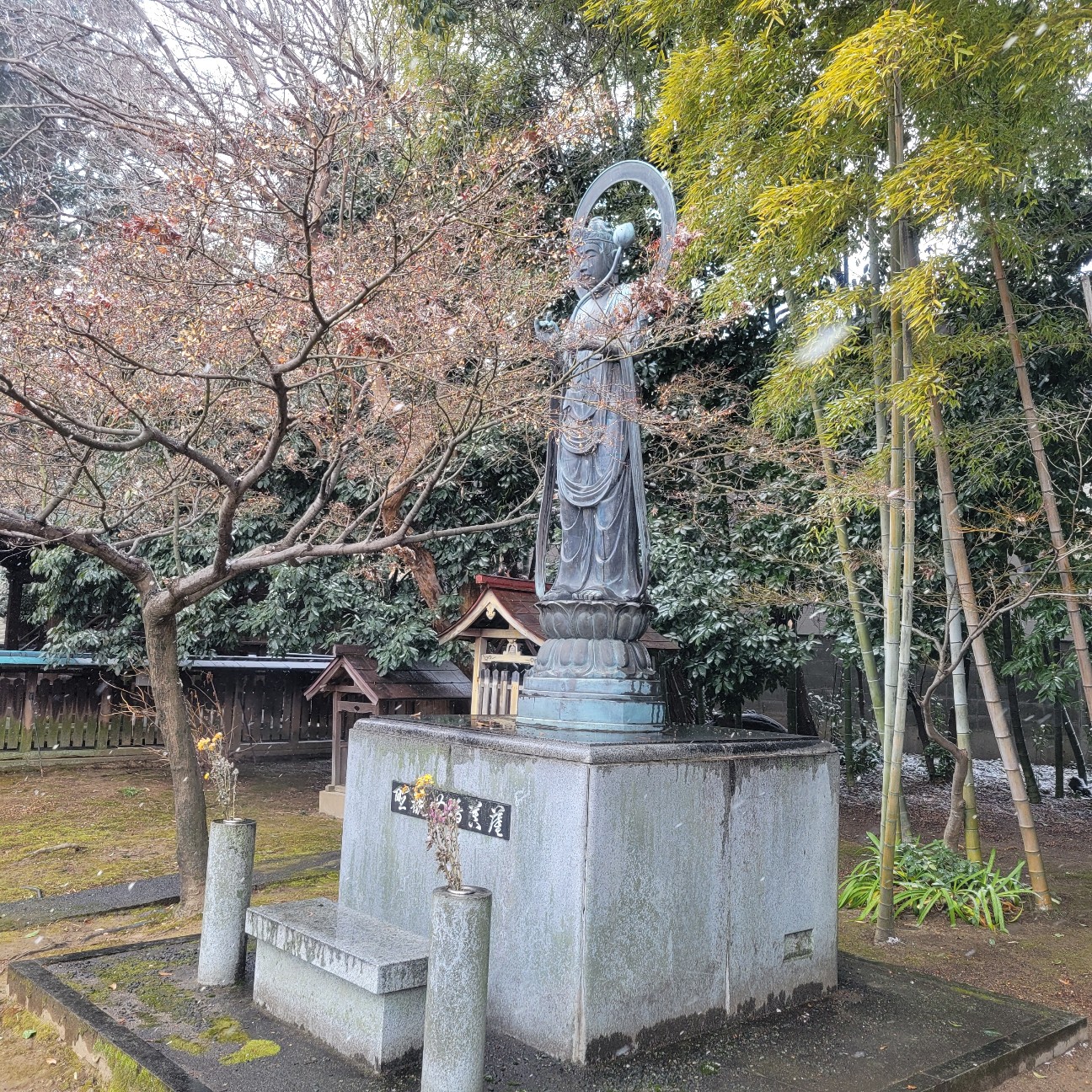 f:id:atoriatoriatori:20260210202128j:image