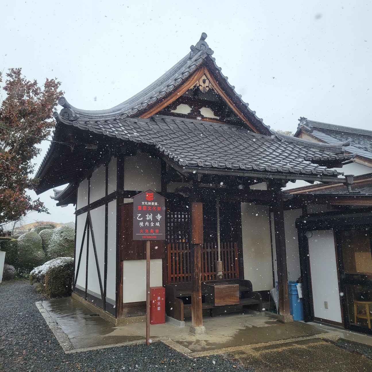 f:id:atoriatoriatori:20260210204529j:image