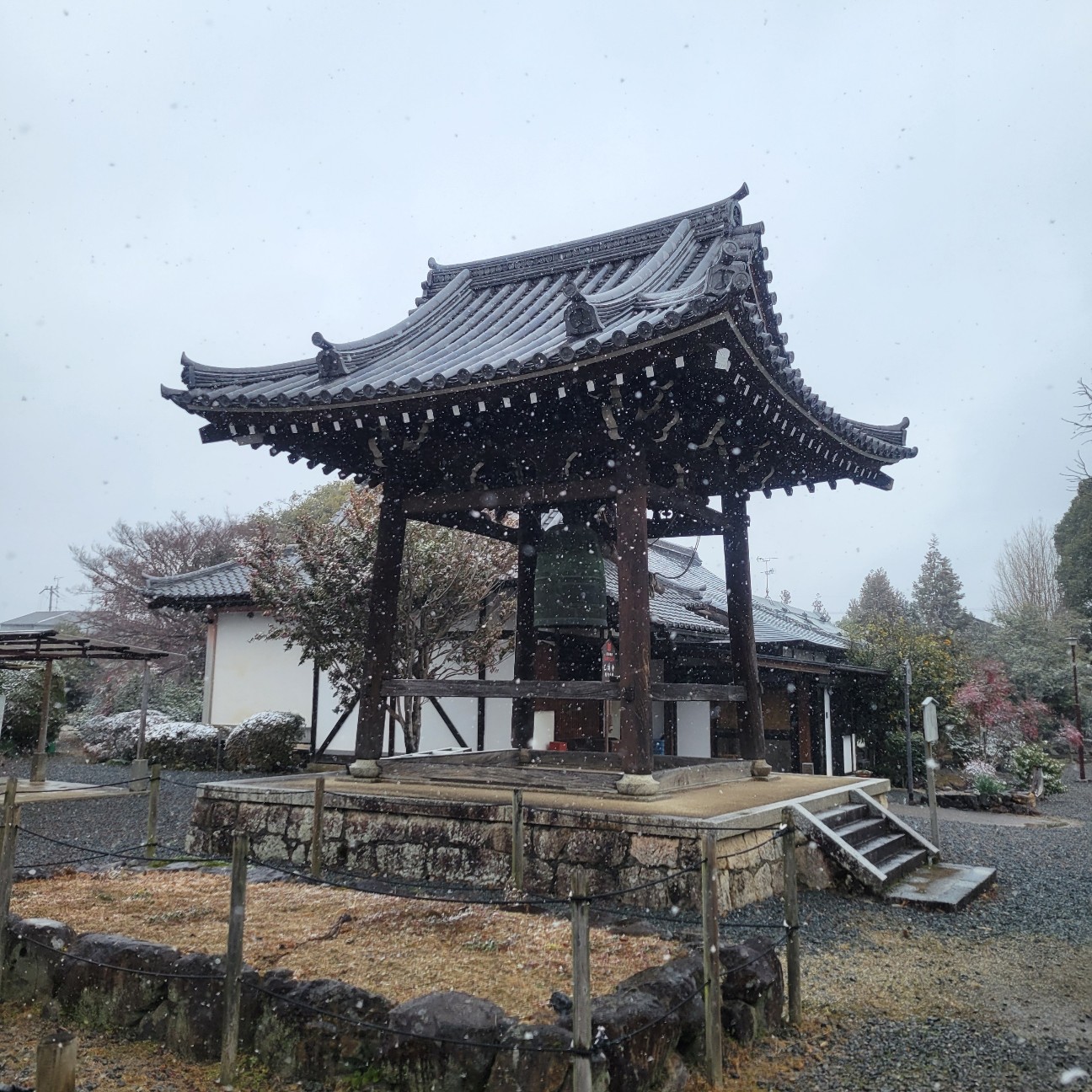 f:id:atoriatoriatori:20260210204530j:image
