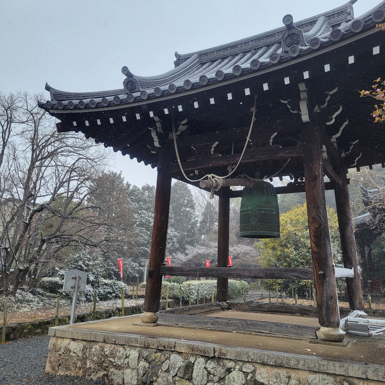f:id:atoriatoriatori:20260211093128j:image