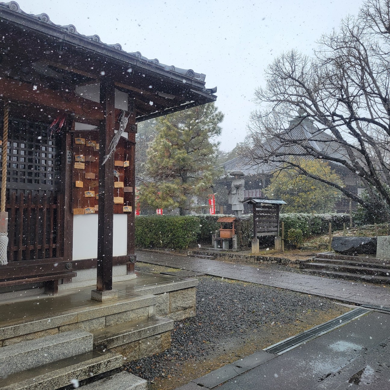 f:id:atoriatoriatori:20260211093757j:image