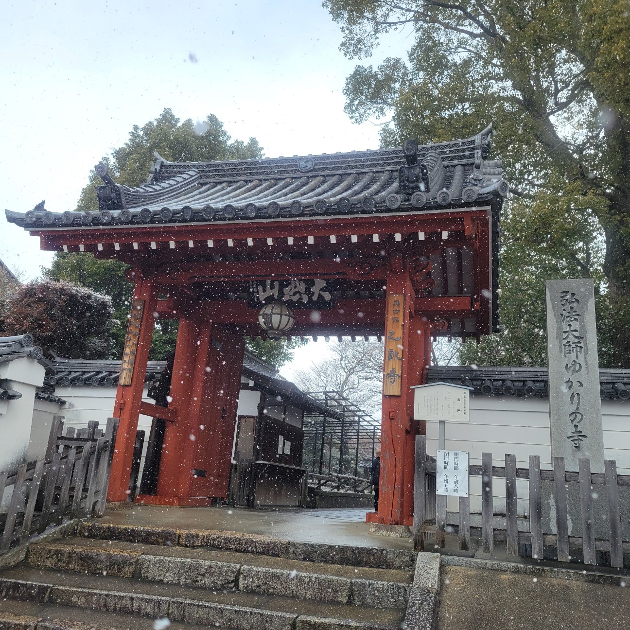 f:id:atoriatoriatori:20260211094045j:image
