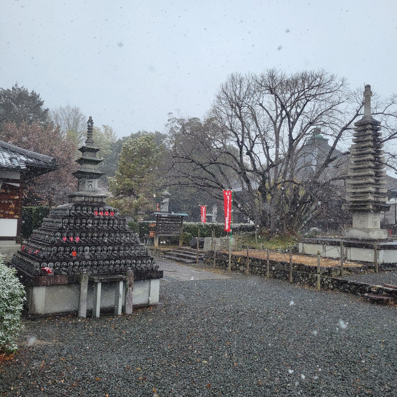 f:id:atoriatoriatori:20260211095753j:image