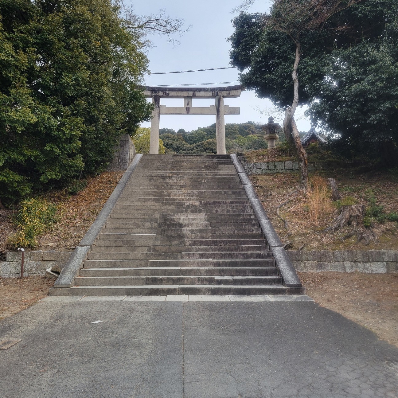 f:id:atoriatoriatori:20260212090626j:image