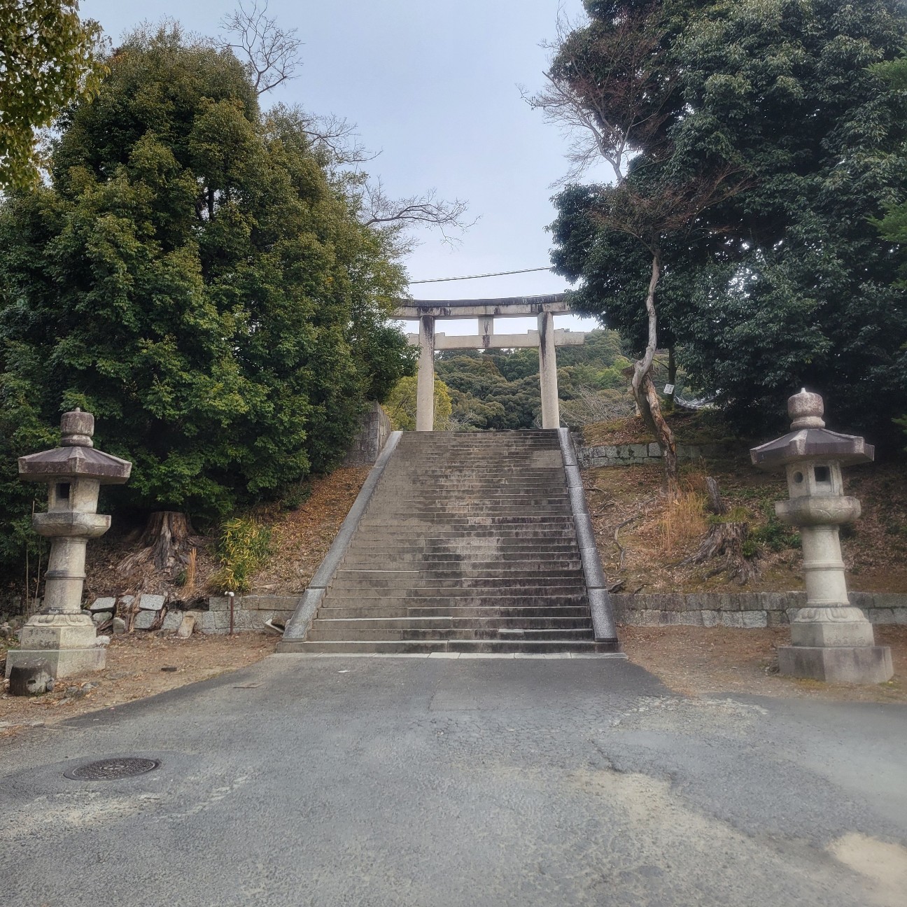 f:id:atoriatoriatori:20260212090627j:image