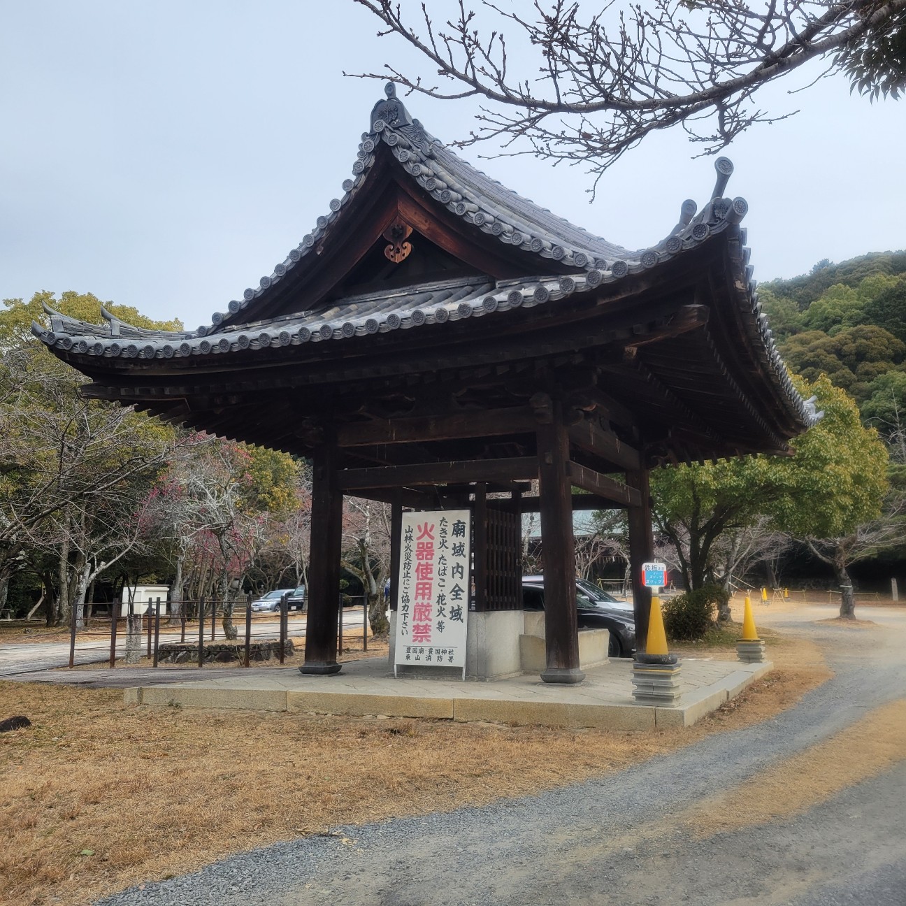 f:id:atoriatoriatori:20260212091110j:image