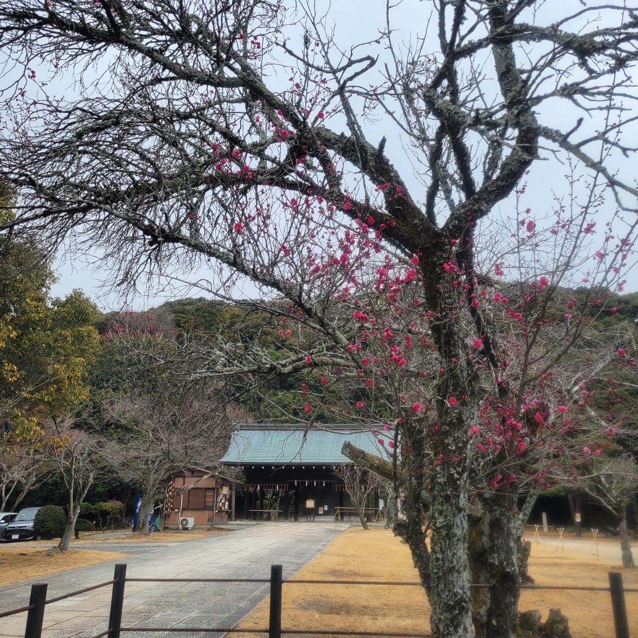 f:id:atoriatoriatori:20260212091114j:image