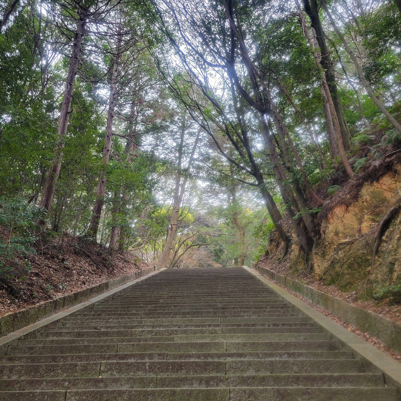 f:id:atoriatoriatori:20260212103942j:image
