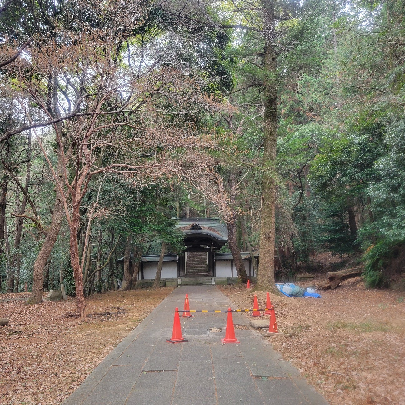 f:id:atoriatoriatori:20260212104125j:image