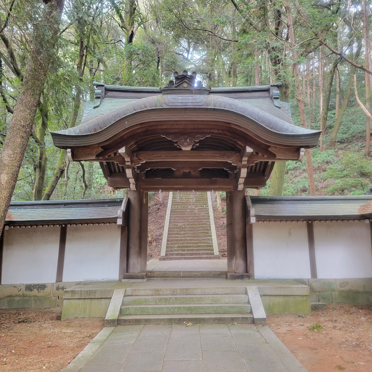 f:id:atoriatoriatori:20260212104126j:image