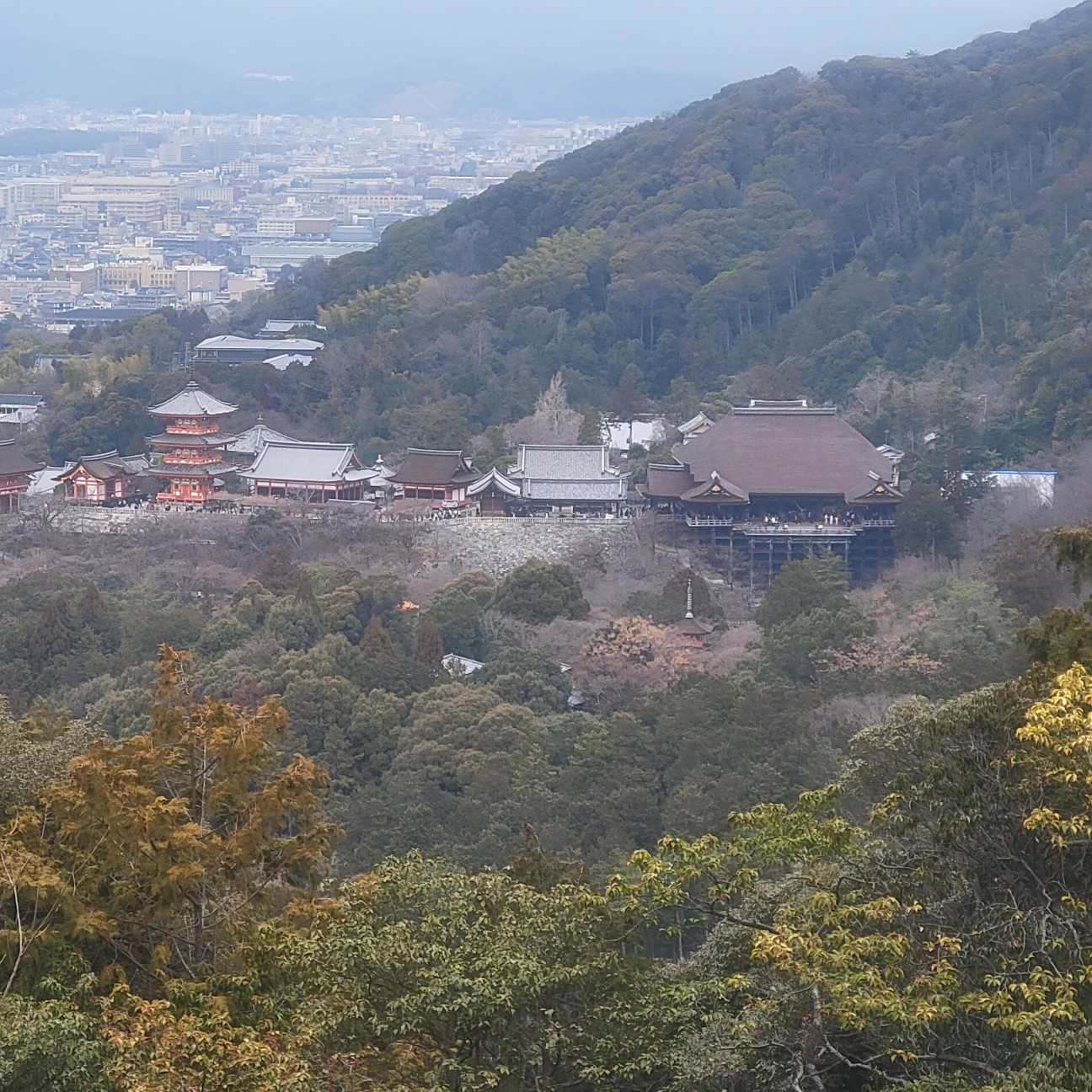 f:id:atoriatoriatori:20260212104856j:image