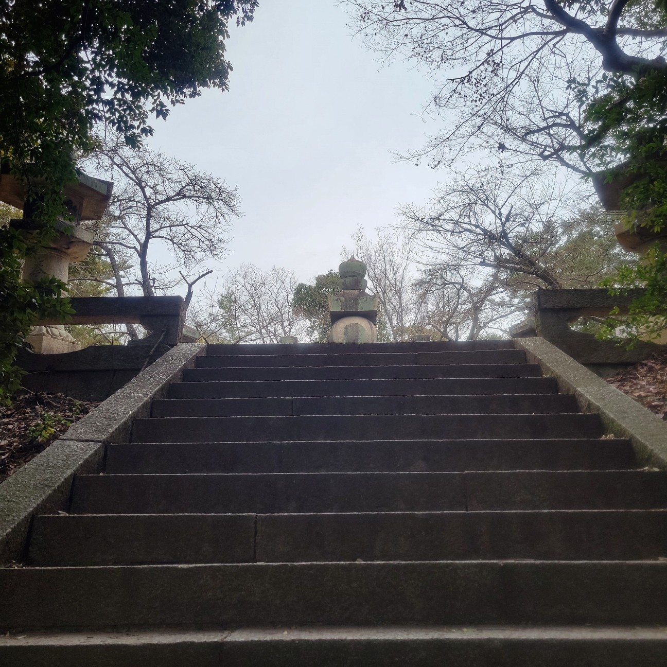 f:id:atoriatoriatori:20260212105137j:image