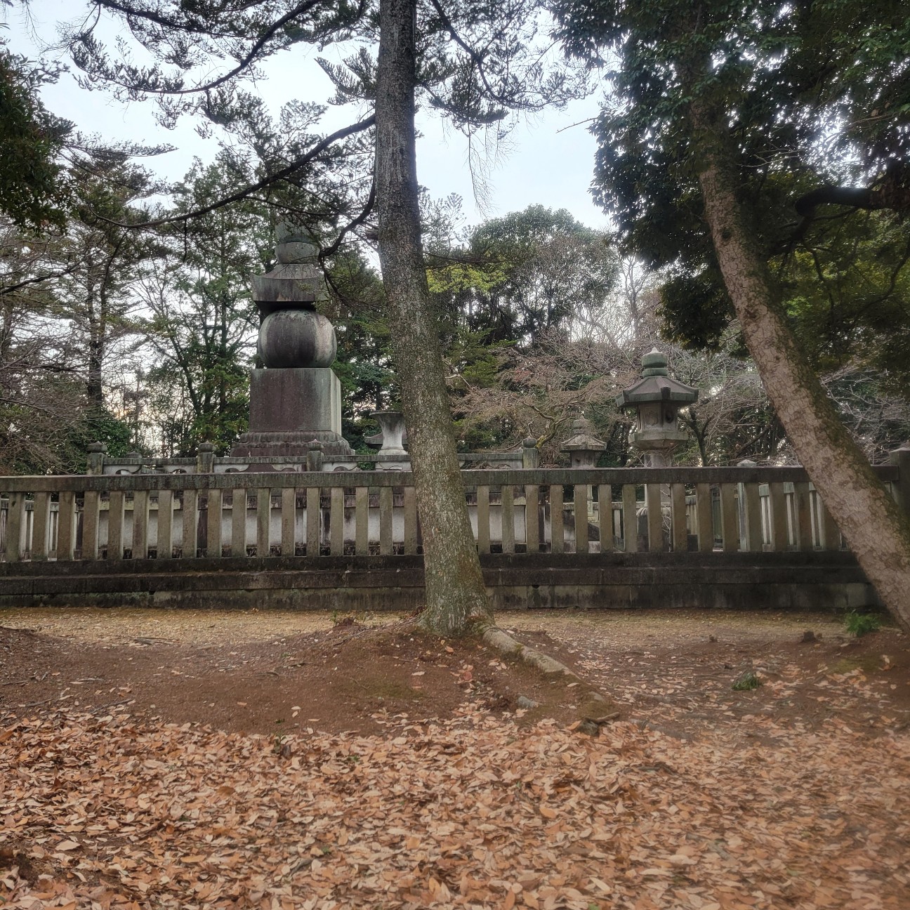 f:id:atoriatoriatori:20260212105233j:image
