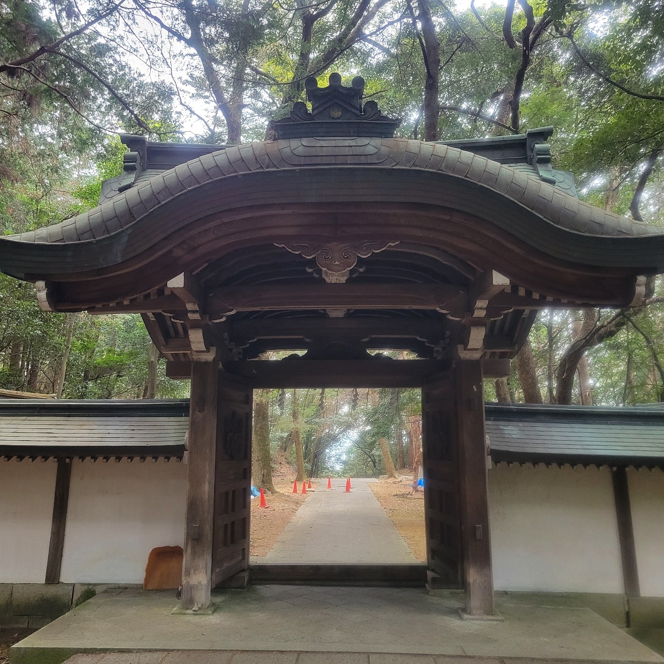 f:id:atoriatoriatori:20260212105842j:image