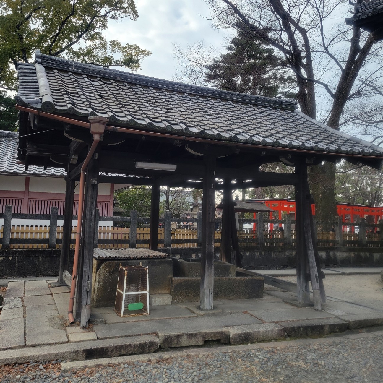 f:id:atoriatoriatori:20260215100352j:image