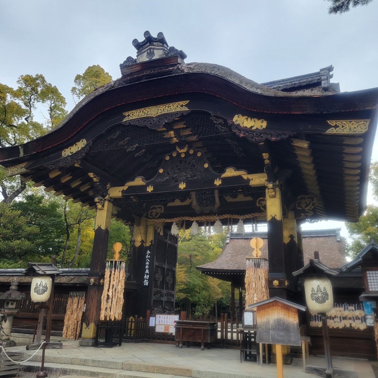 f:id:atoriatoriatori:20260216131816j:image