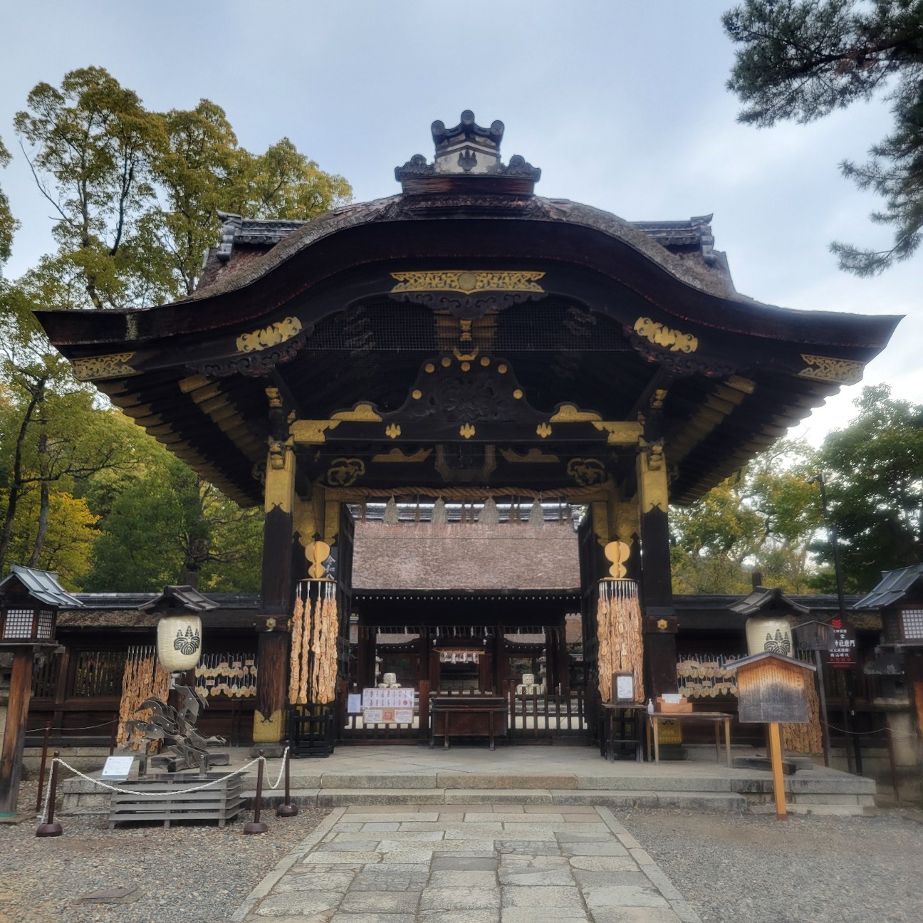f:id:atoriatoriatori:20260216131819j:image