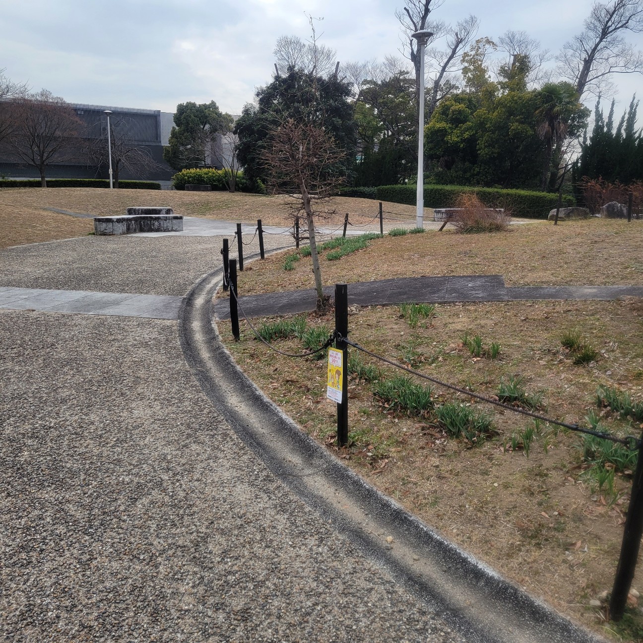 f:id:atoriatoriatori:20260216143023j:image