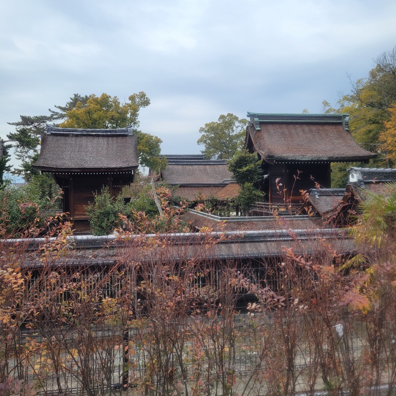 f:id:atoriatoriatori:20260216143230j:image
