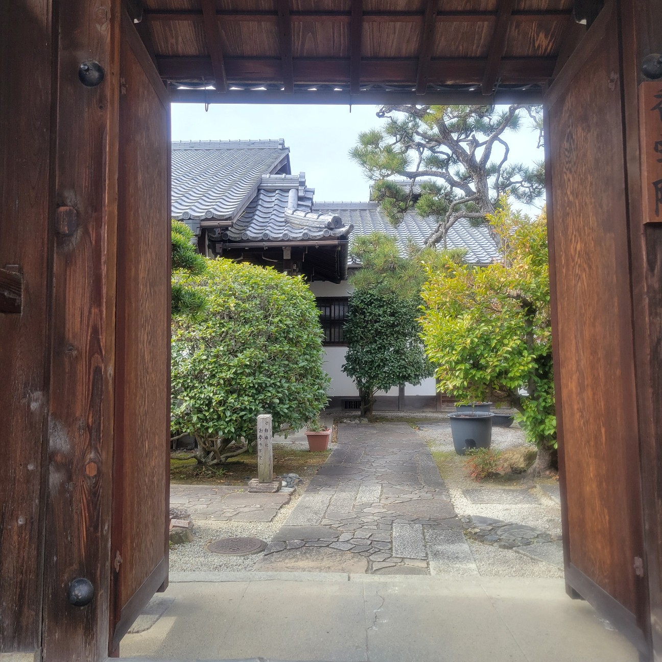 f:id:atoriatoriatori:20260216165956j:image