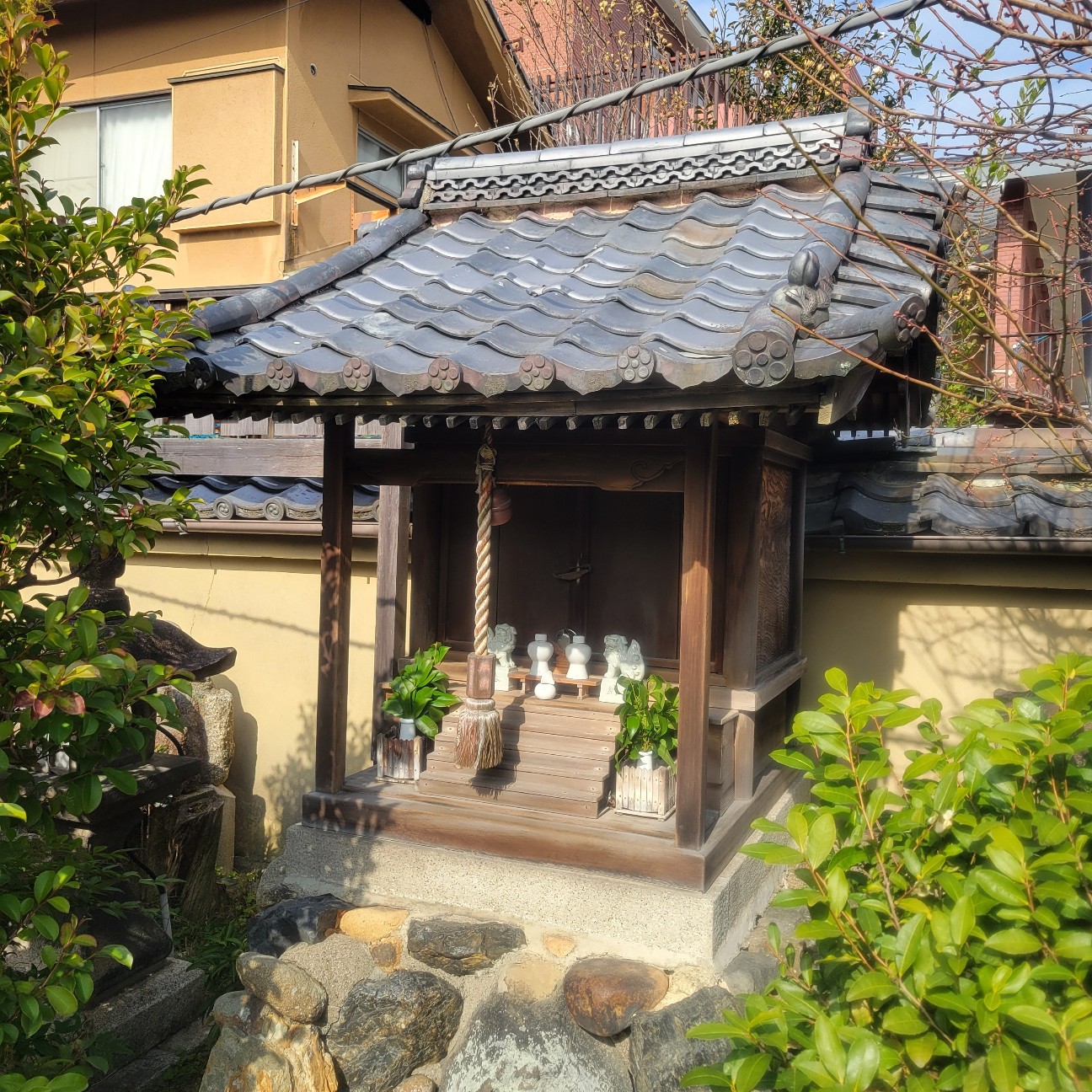 f:id:atoriatoriatori:20260216165957j:image